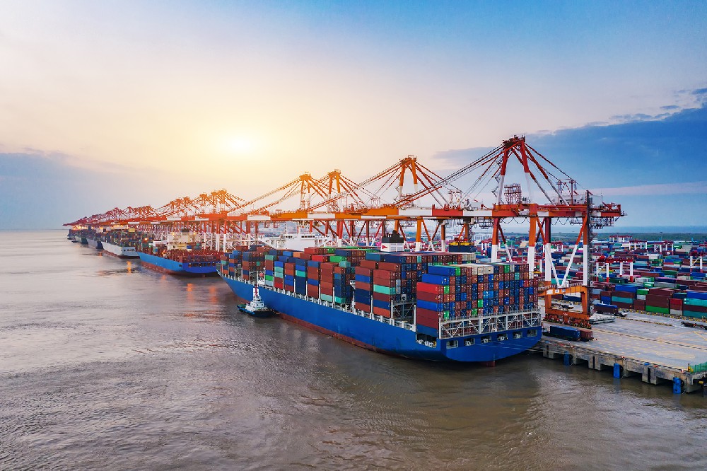 Customs assistance for import and export of goods with free declaration of origin RCEP